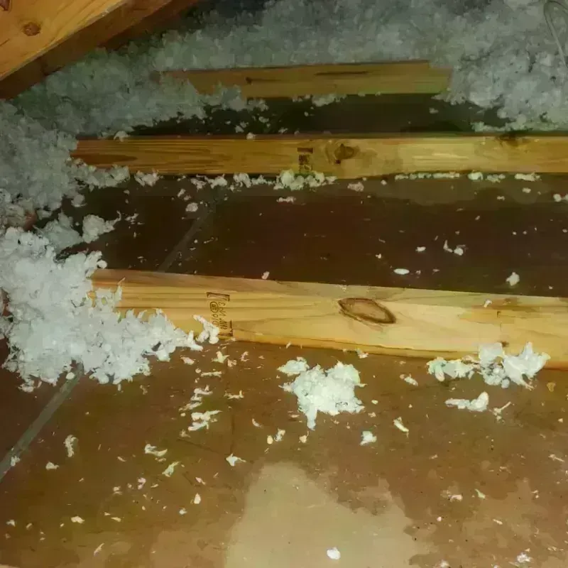 Attic Water Damage in Abbeville, LA