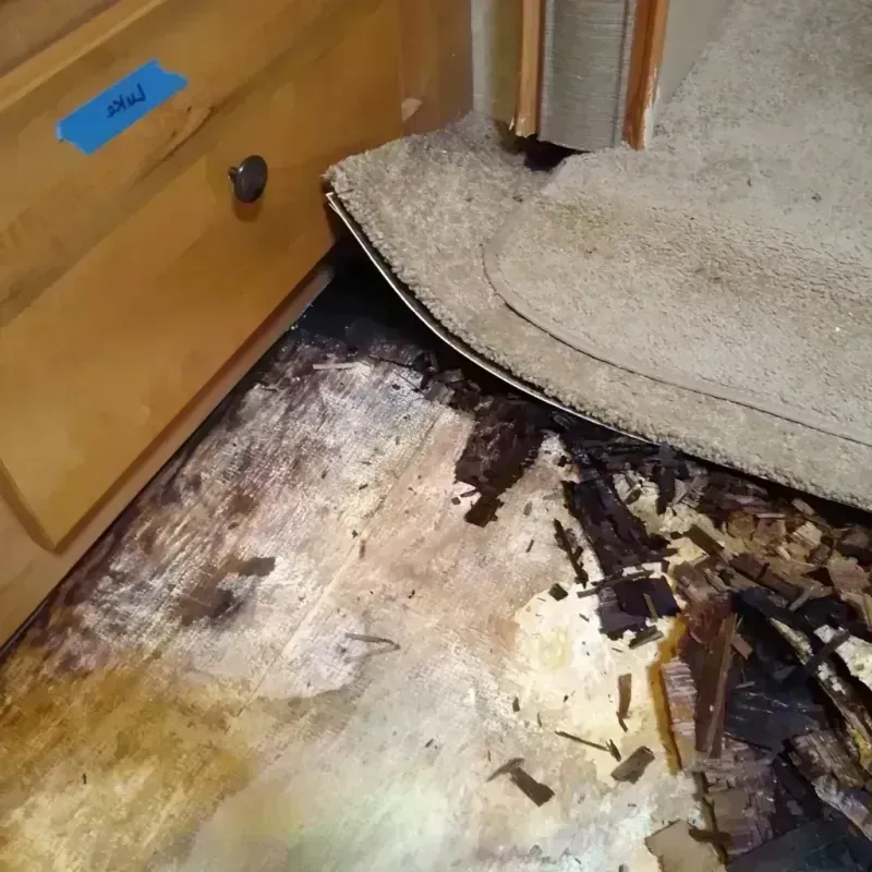 Best Wood Floor Water Damage Service in Abbeville, LA